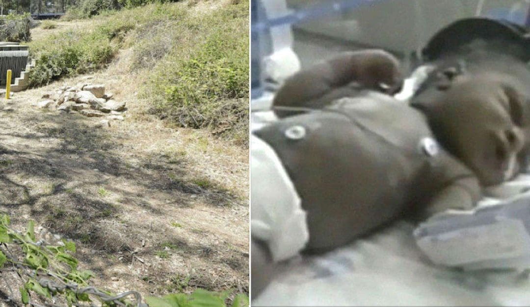 Jogger found a baby buried alive